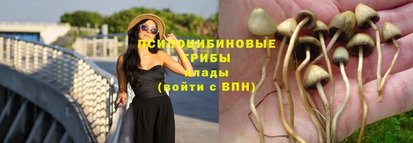 альфа пвп Кукмор