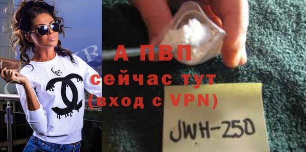 соль ск Сосновоборск